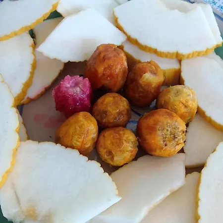 Oda ve Kahvaltı Solarium
