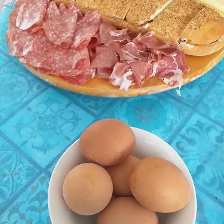 Solarium Bed & Breakfast