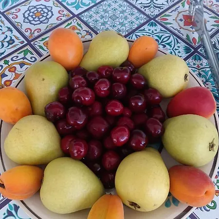 Bed & Breakfast Solarium