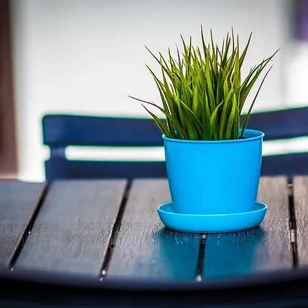 Solarium Bed & Breakfast