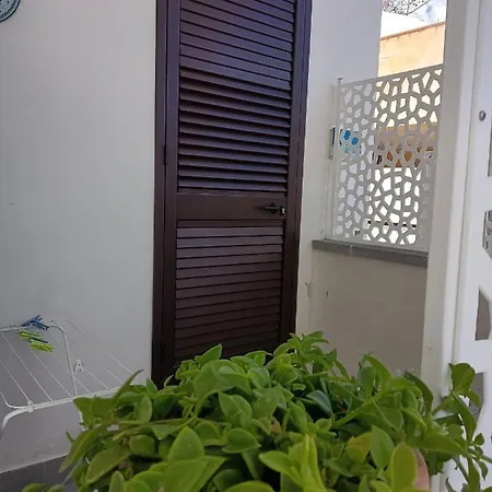 Solarium Bed & Breakfast