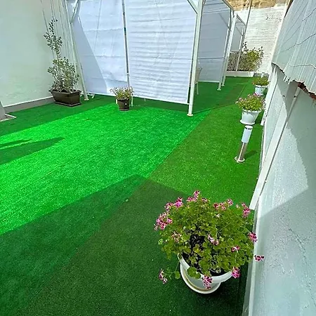 Bed & Breakfast Solarium 3*